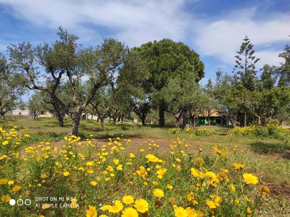 Lithies Farm Houses Vasilikos Exterior photo